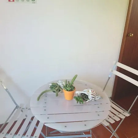 Azores Hibiscus House - Mountain And Sea Feriehus São Roque do Pico